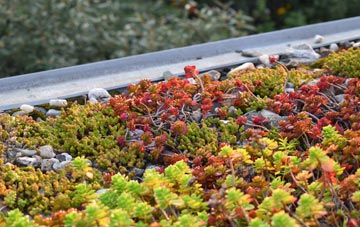 the cost of Windrush green roof installation