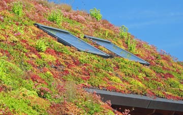 Windrush living roof systems